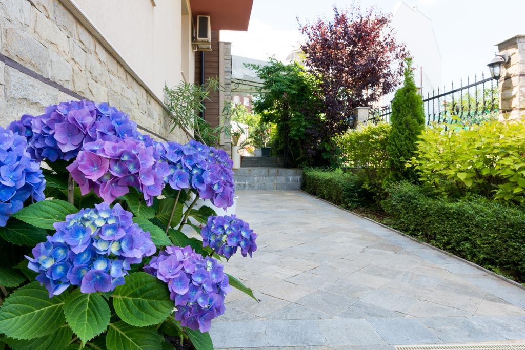 מלון סוזופול Siena House מראה חיצוני תמונה